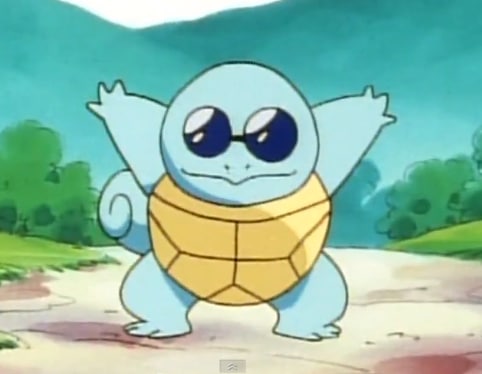 10 inch squirtle