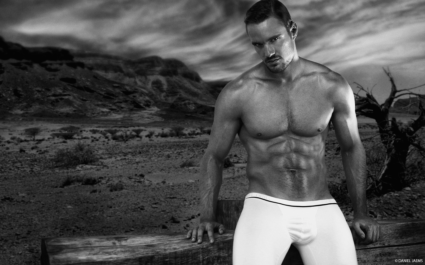 Thom Evans