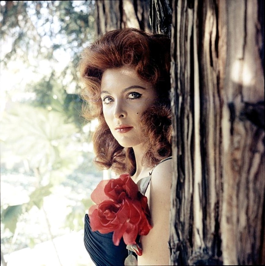 Tina louise фото