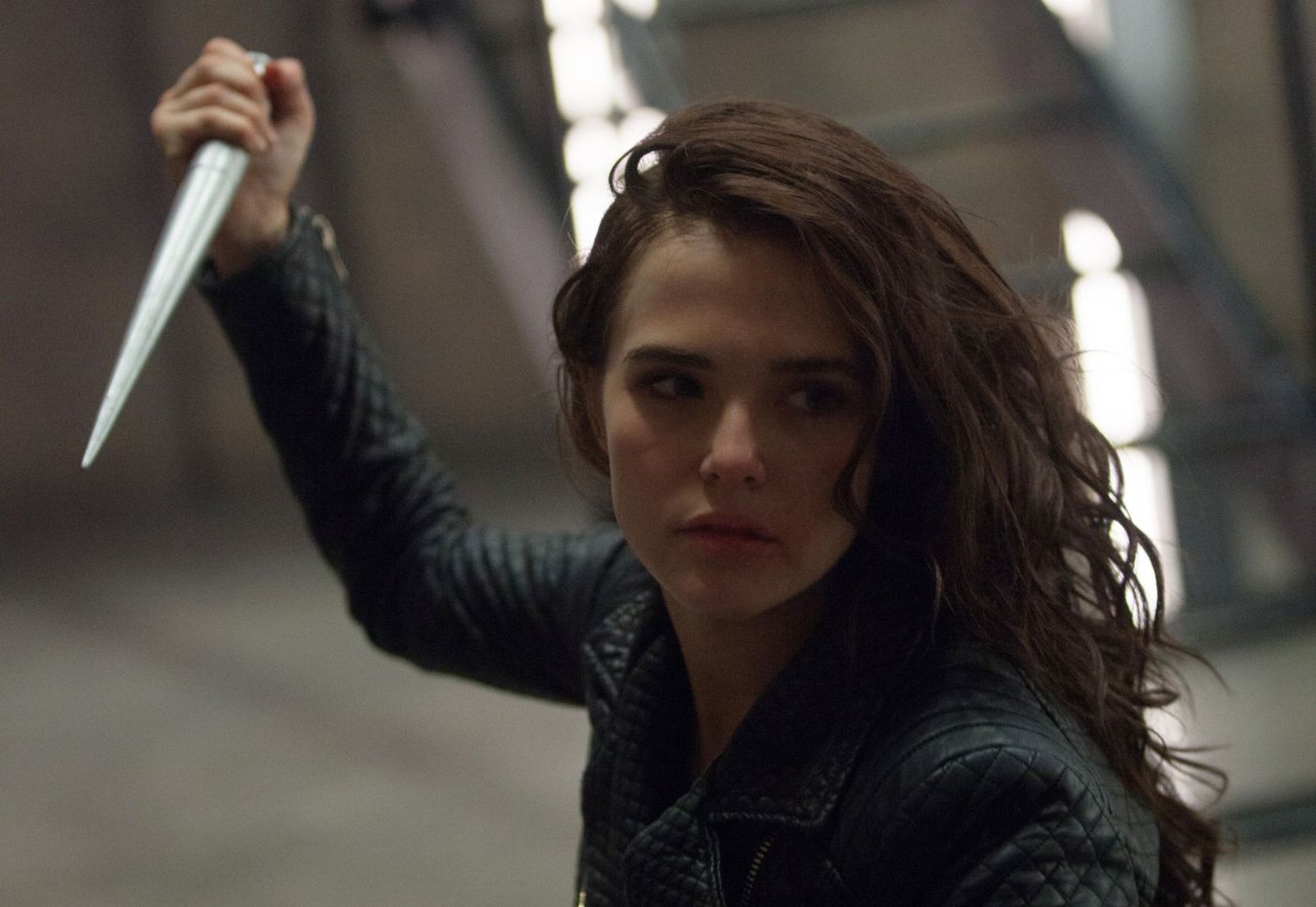 Vampire Academy Vampire Academy