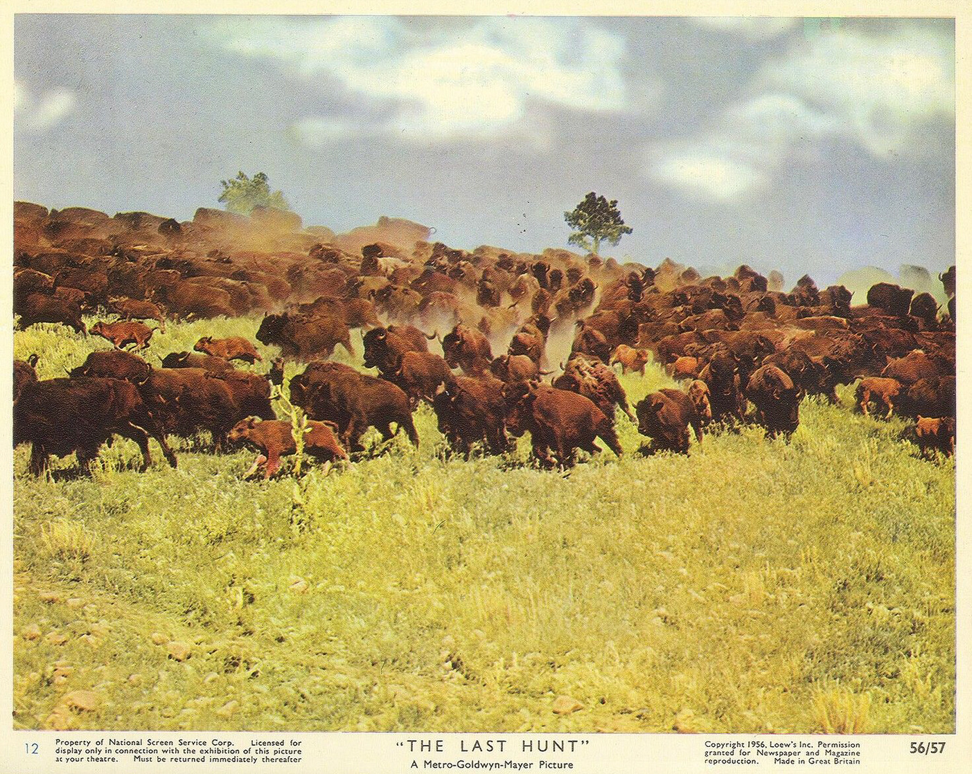 The Last Hunt