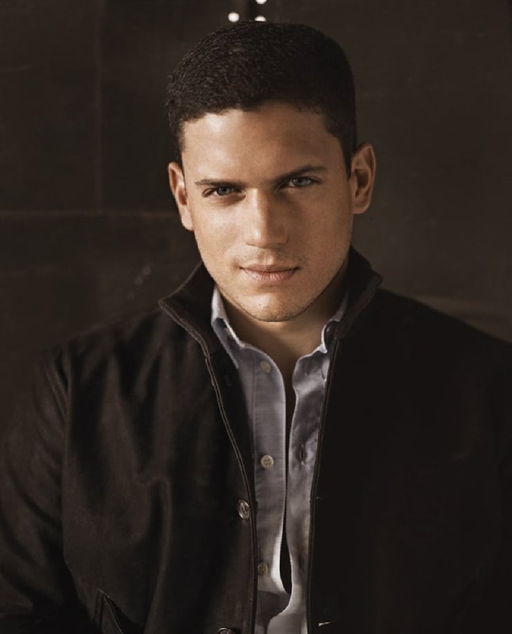 Picture of Wentworth Miller