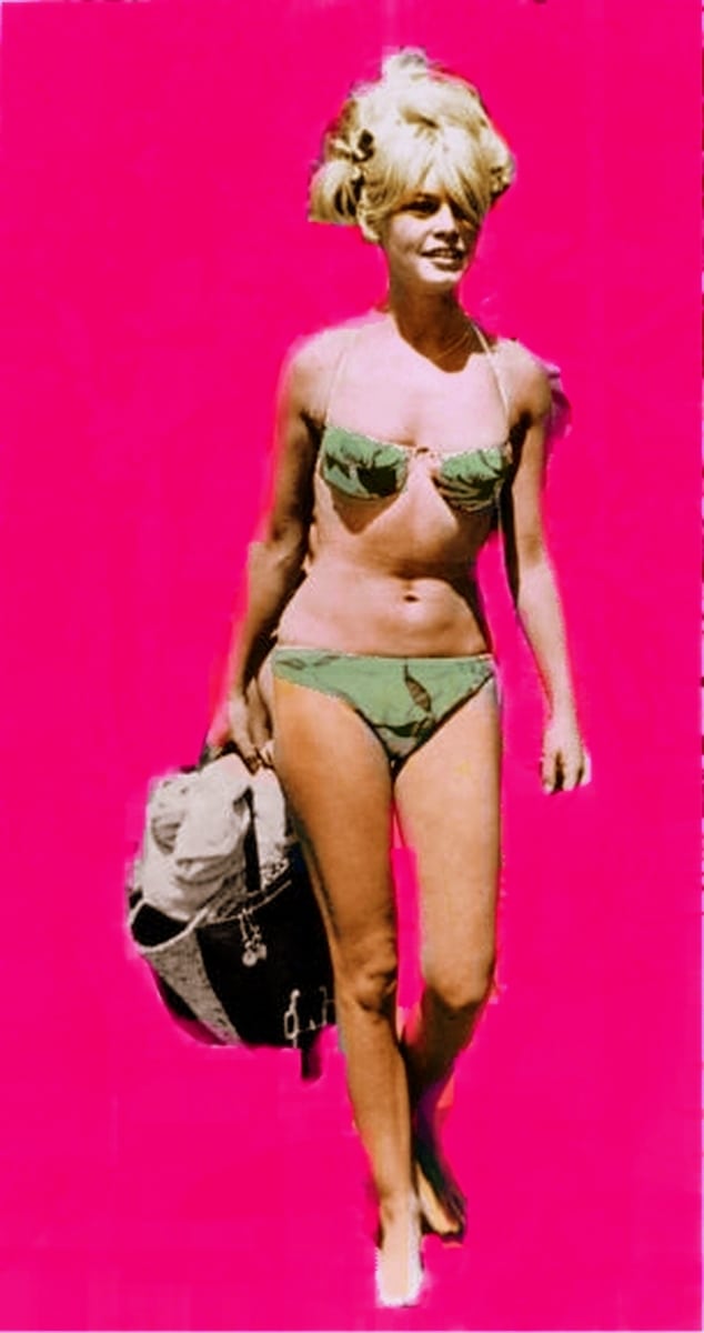 Picture Of Brigitte Bardot