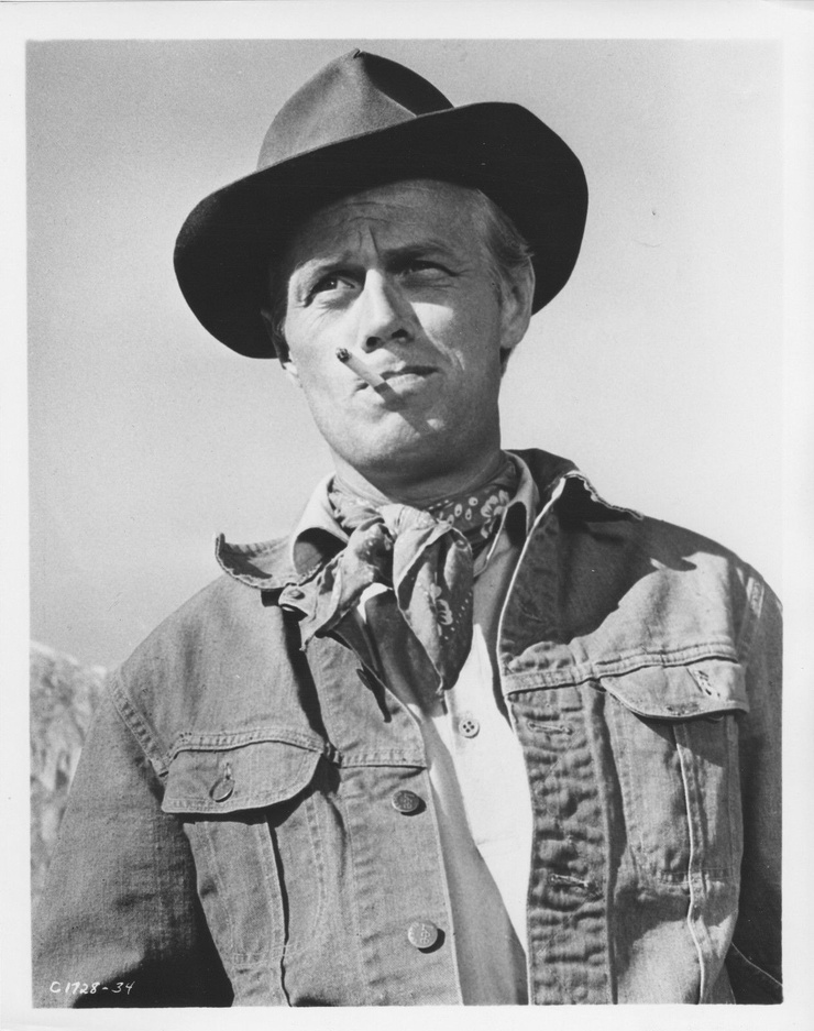 Picture of The Law and Jake Wade