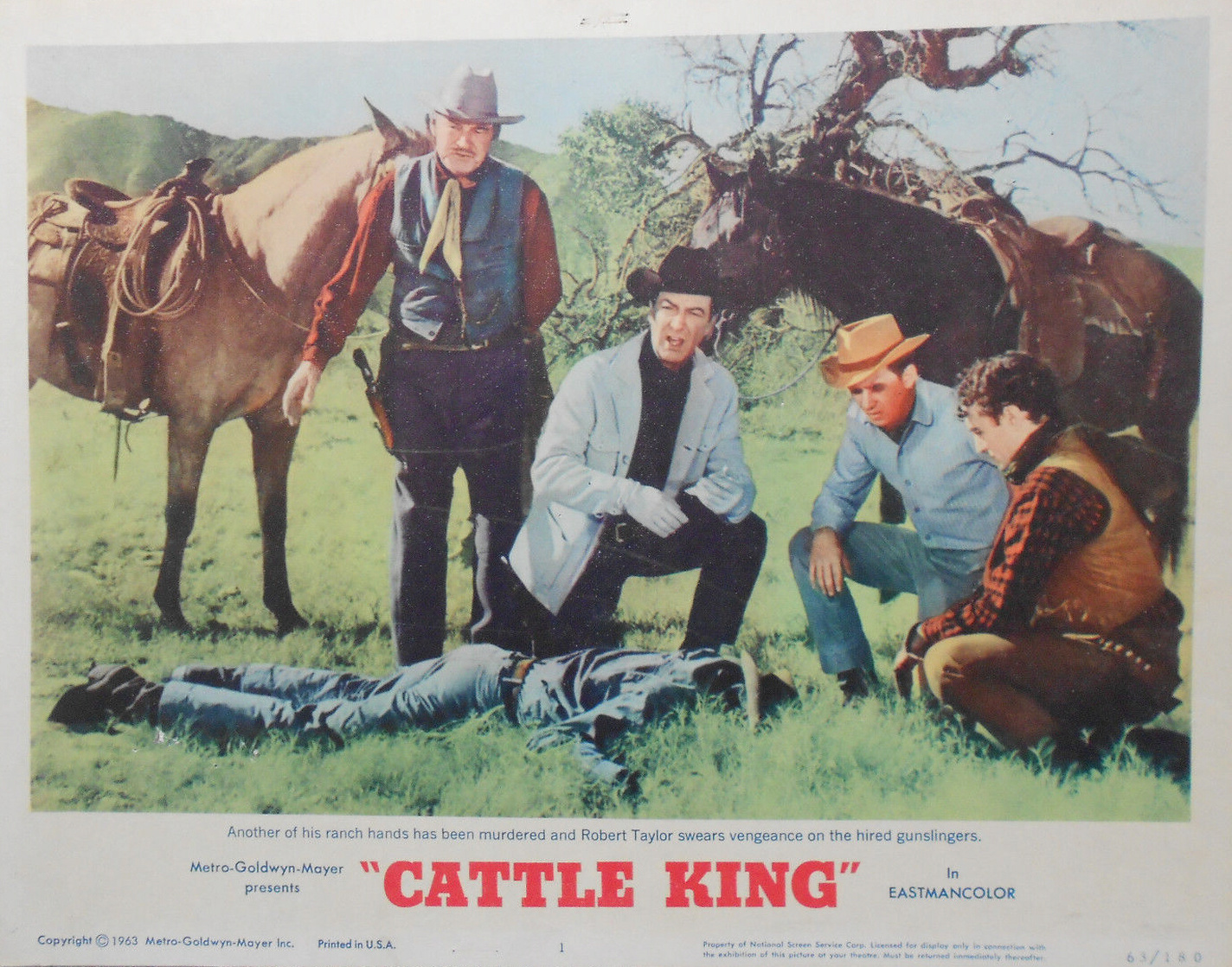 Cattle King