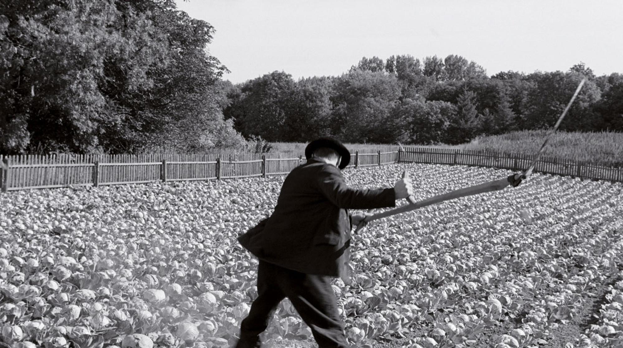 The White Ribbon (2009) The White Ribbon (2009)
