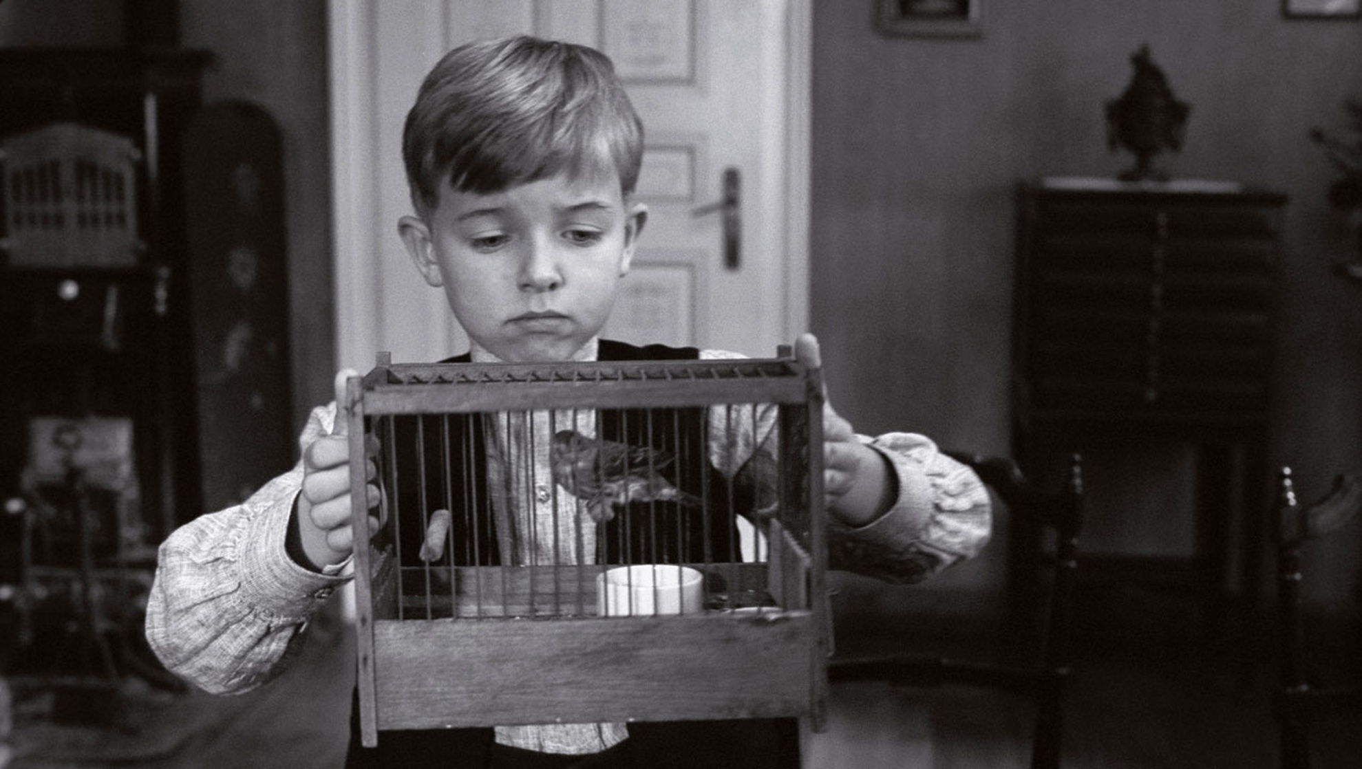 The White Ribbon (2009)