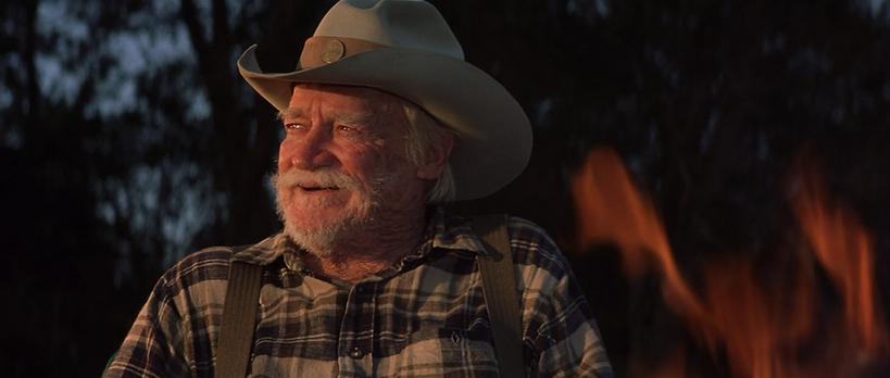 The Straight Story (1999) The Straight Story (1999)