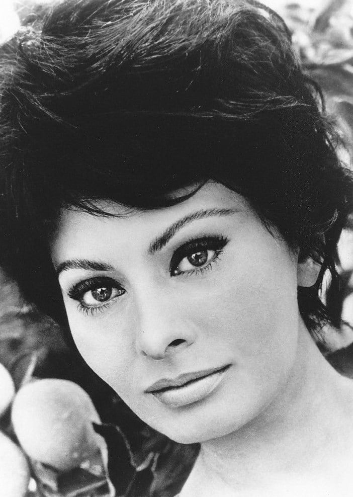 Picture of Sophia Loren