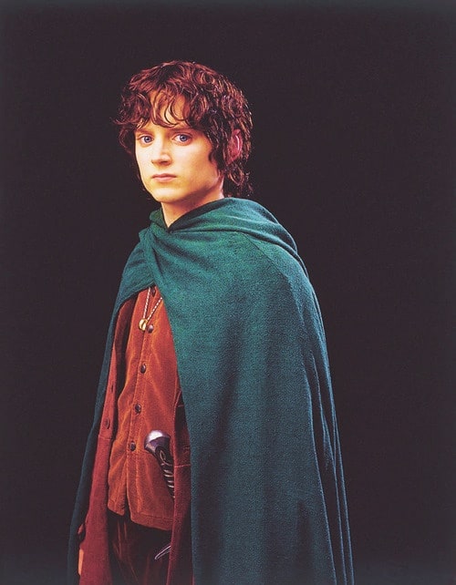 Picture of Frodo Baggins