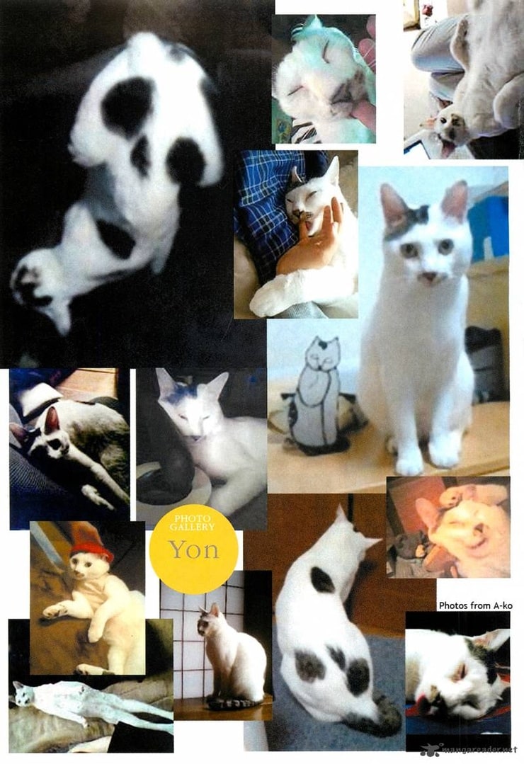 Picture of Ito Junji's Cat Diary Yon & Mu