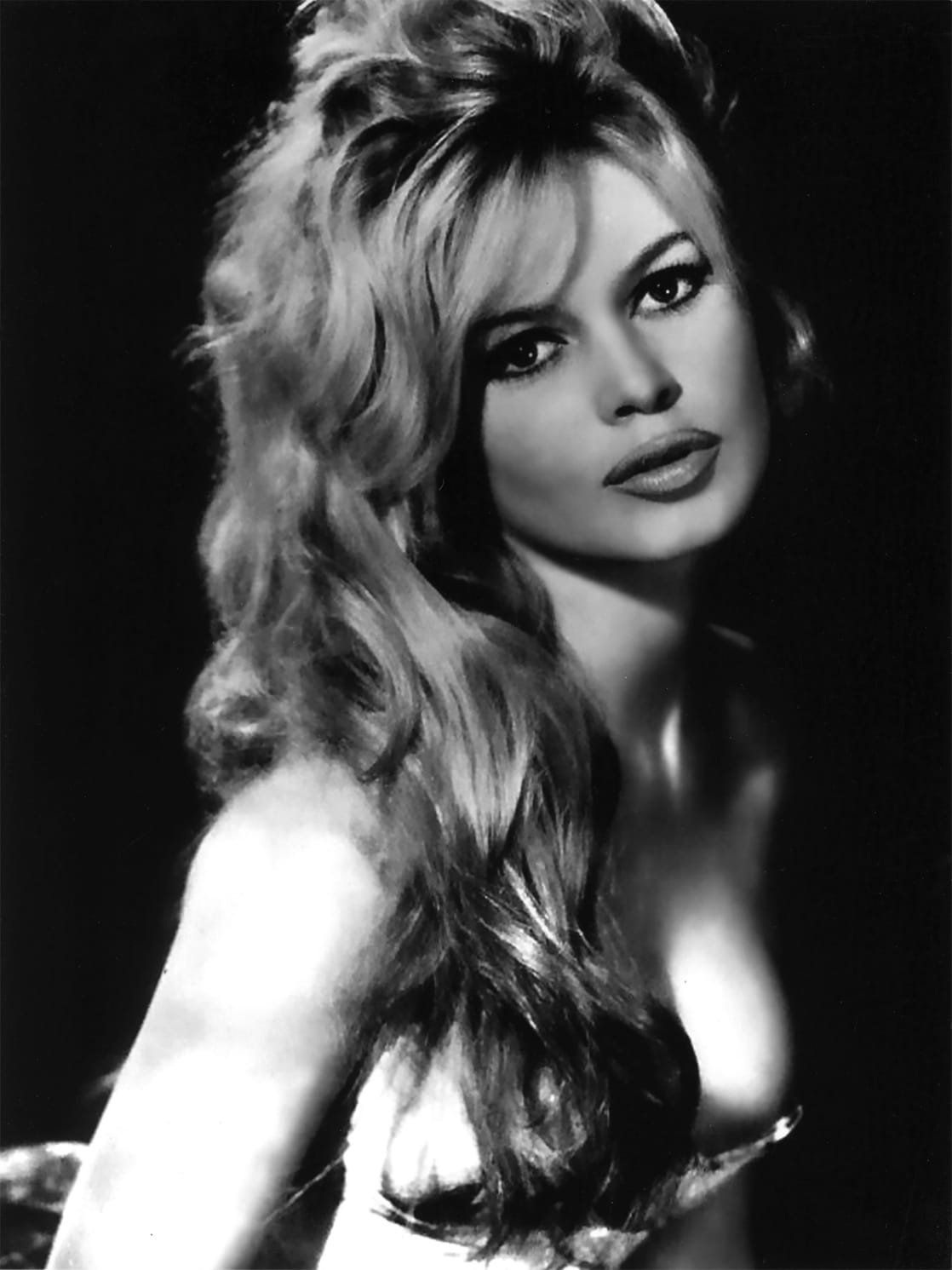 Picture Of Brigitte Bardot   1118full Brigitte Bardot 