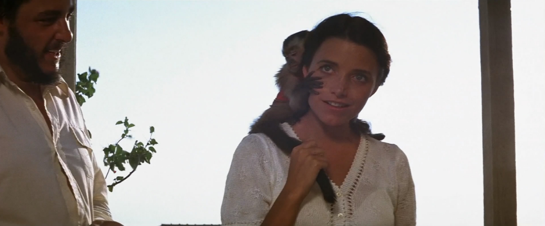 Raiders of the Lost Ark Raiders of the Lost Ark