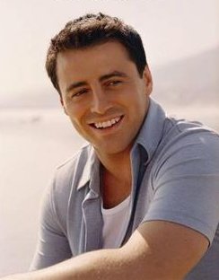 Picture of Matt LeBlanc