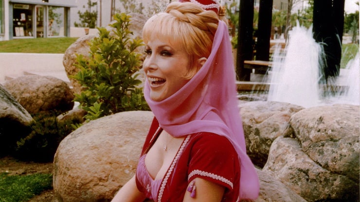 Picture of I Dream of Jeannie.