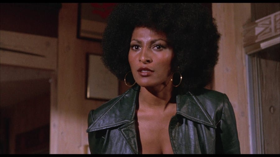 Picture of Pam Grier