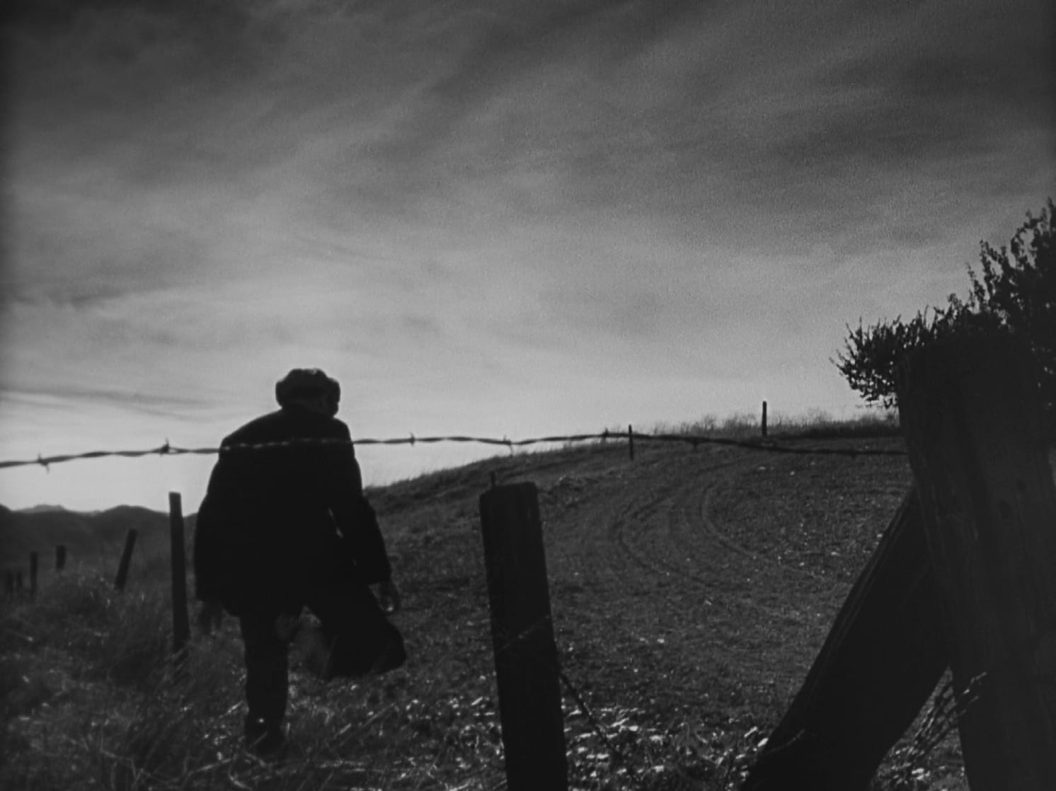 The Grapes of Wrath