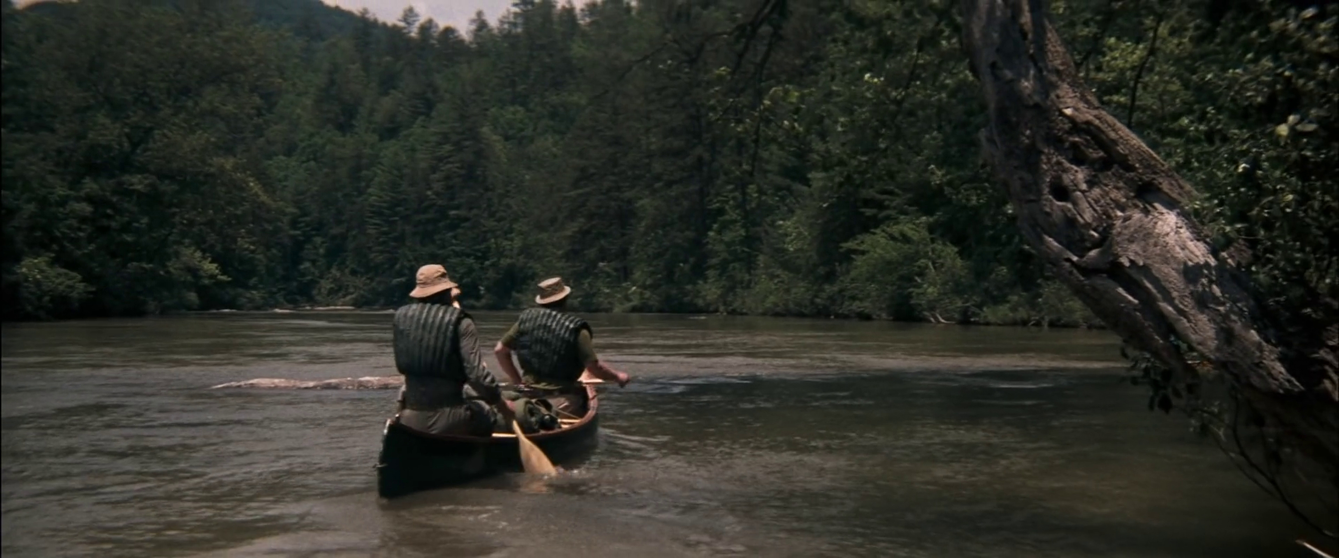 Deliverance image