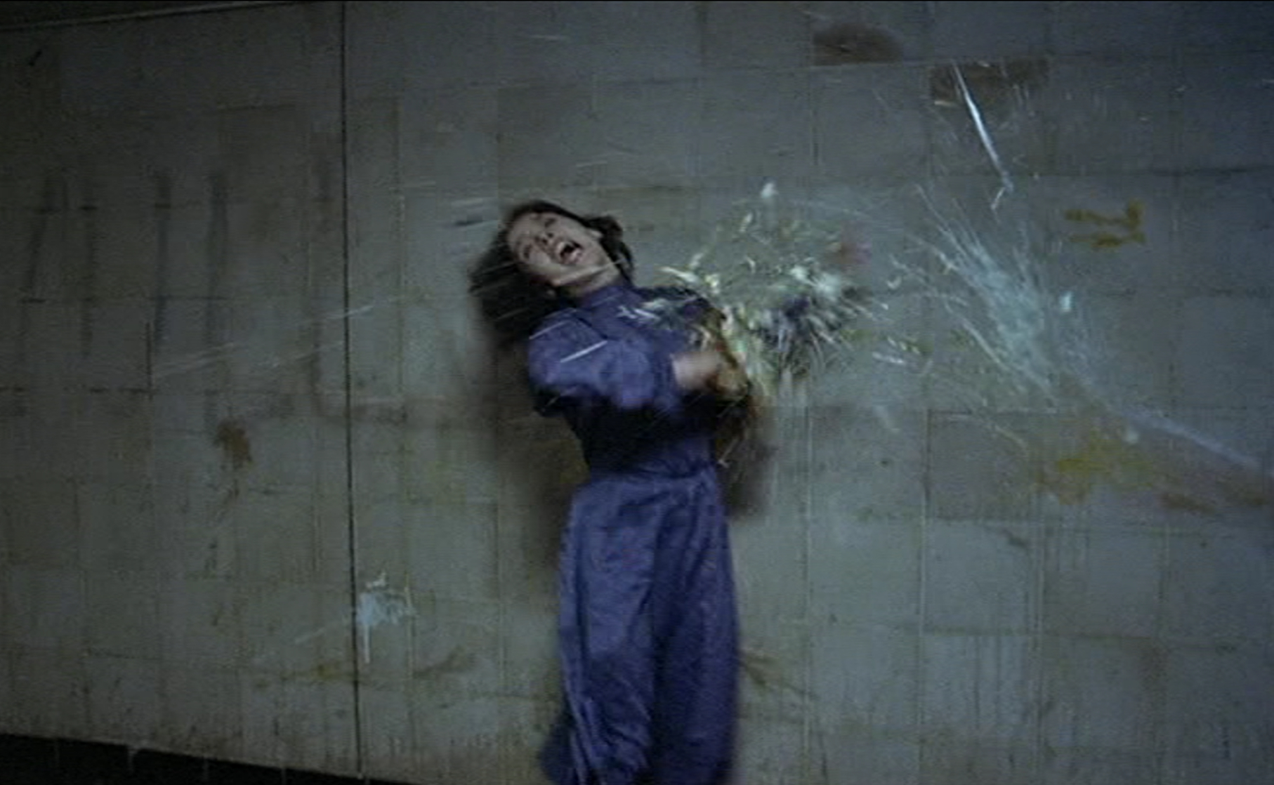 Possession (1981)