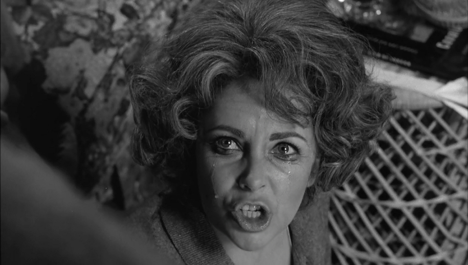 Who's Afraid of Virginia Woolf? Who's Afraid of Virginia Woolf?