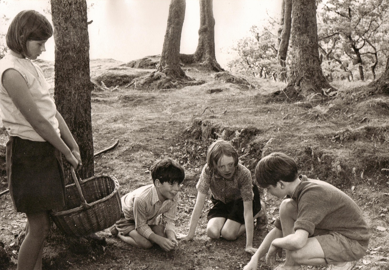 Swallows and Amazons Swallows and Amazons