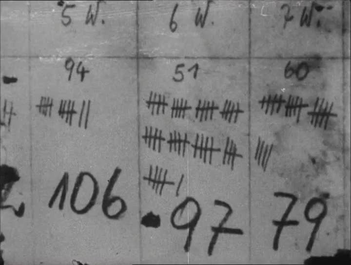 Night and Fog (1955) picture