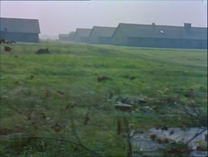 Picture of Night and Fog (1955)