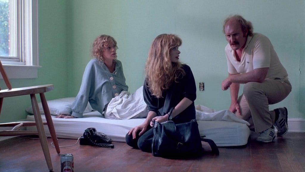 The Unbelievable Truth (1989)