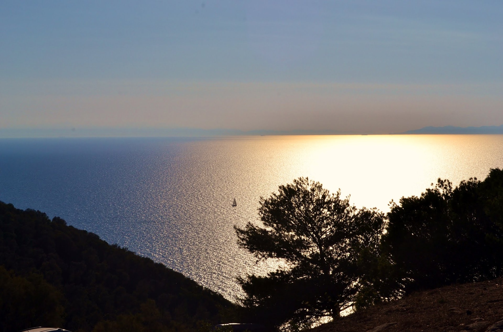 Populonia Populonia