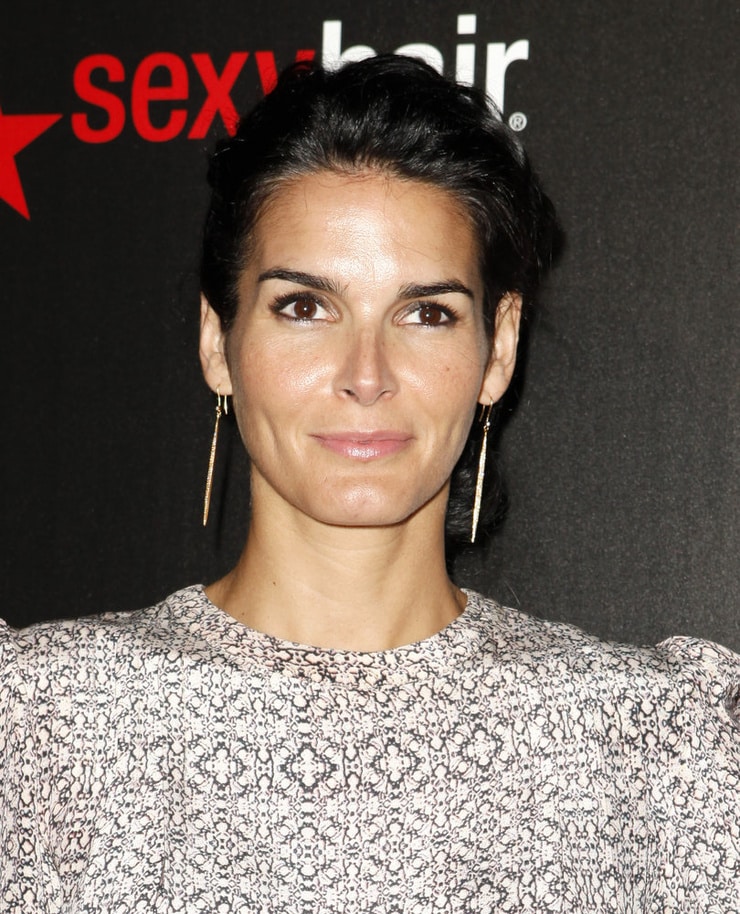 Angie Harmon image