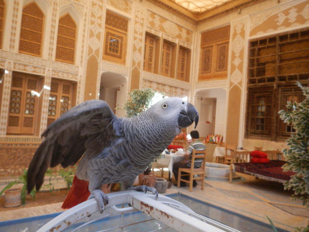 Yazd