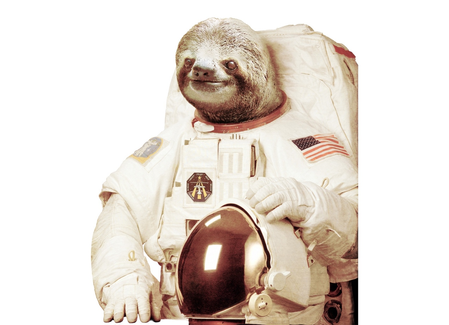 Astronaut Sloth picture