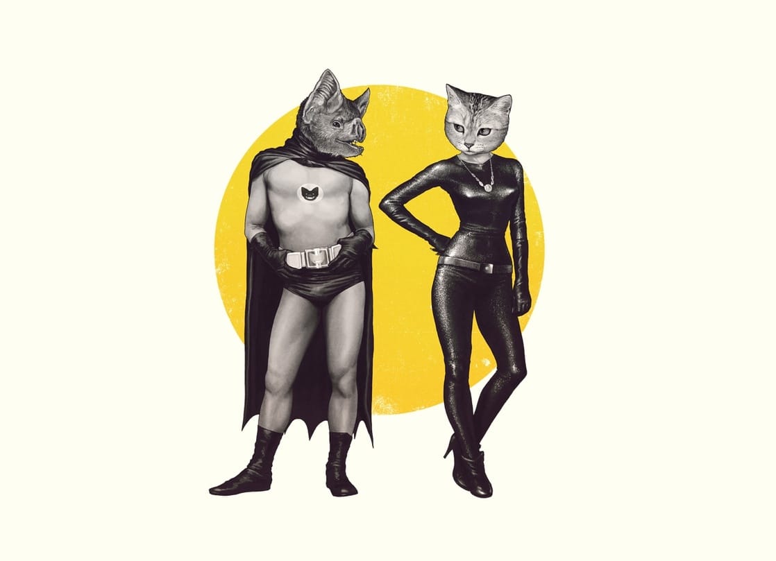 A Bat and a Cat