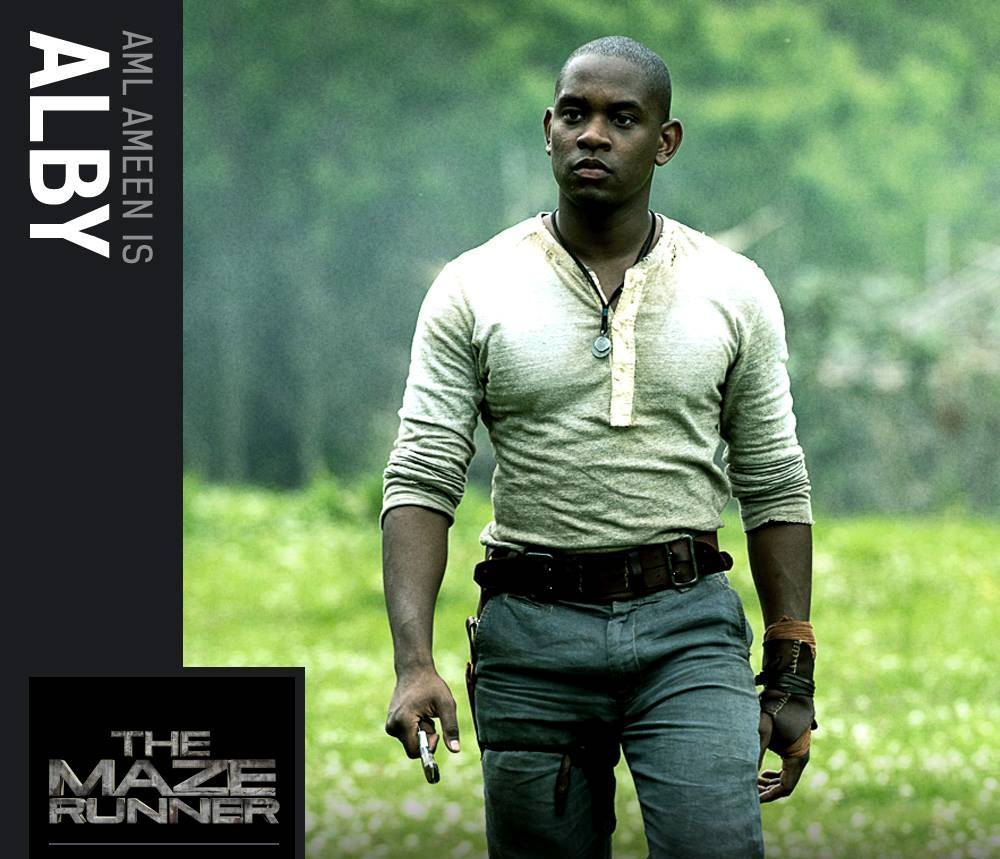 The Maze Runner