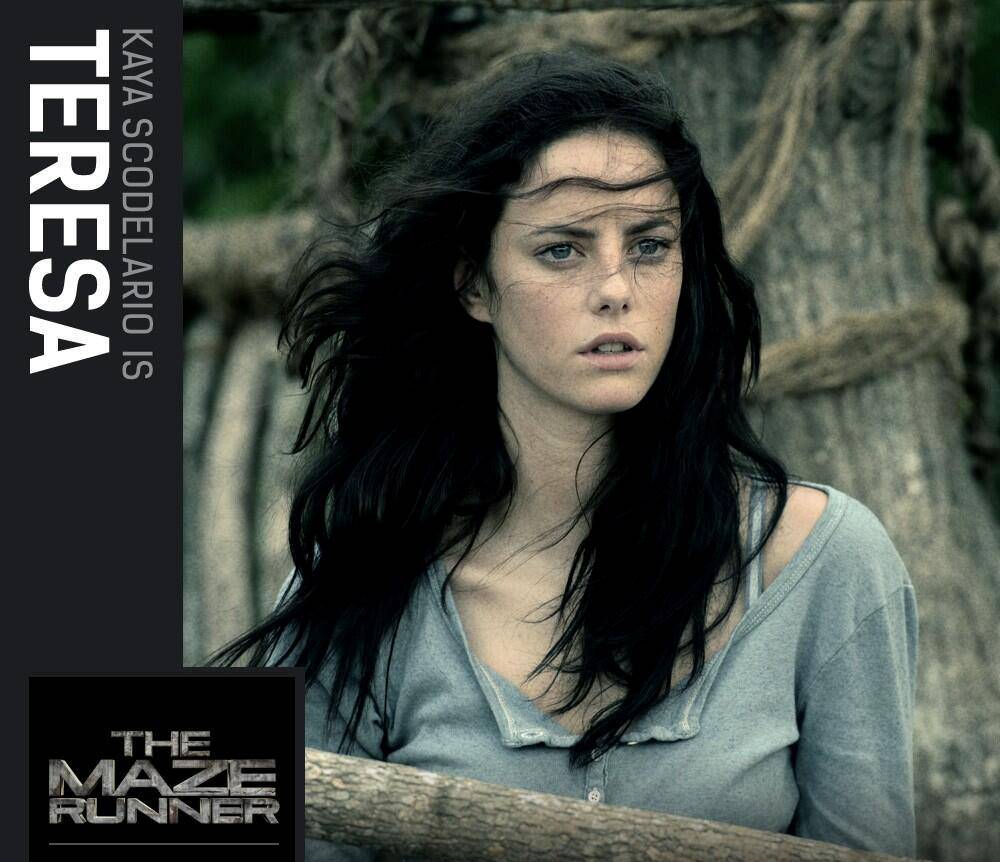 Image of The Maze Runner