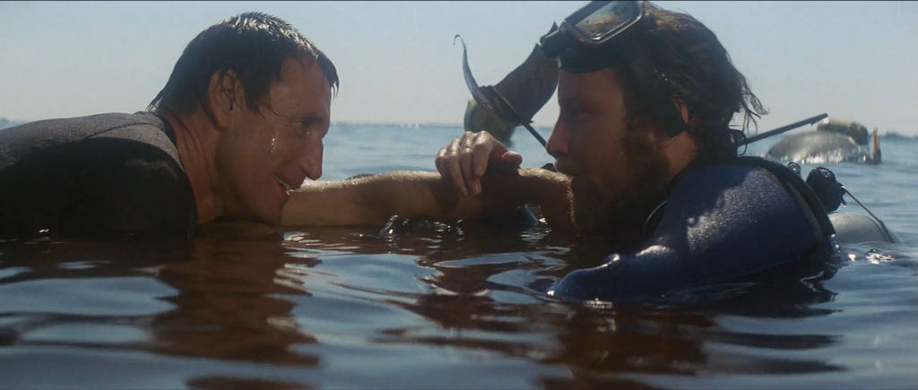 Jaws Jaws
