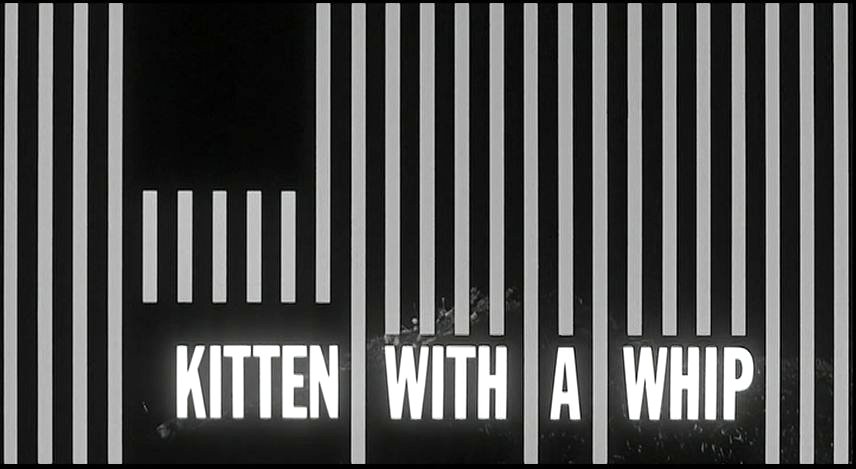 Kitten with a Whip