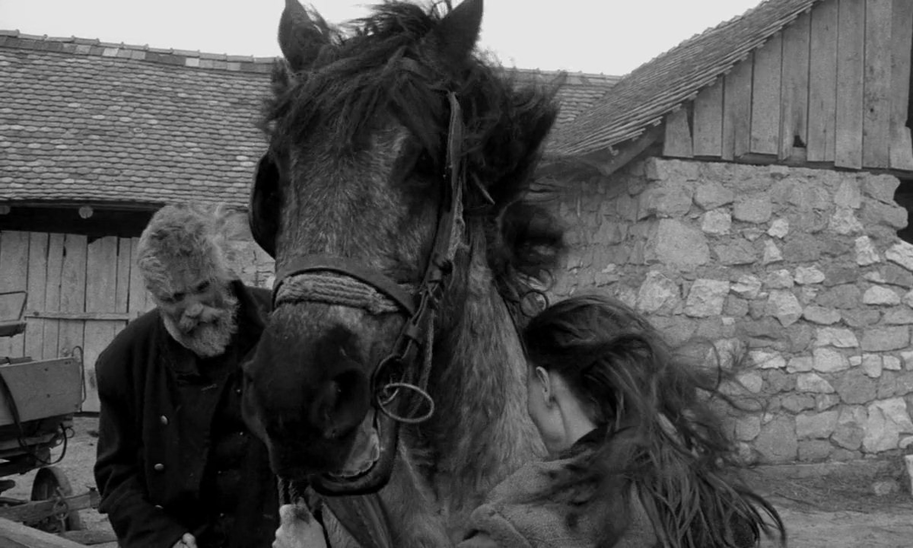 The Turin Horse (2011) The Turin Horse (2011)
