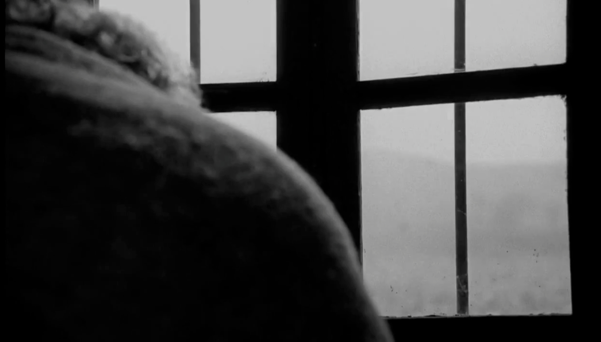 The Turin Horse (2011)