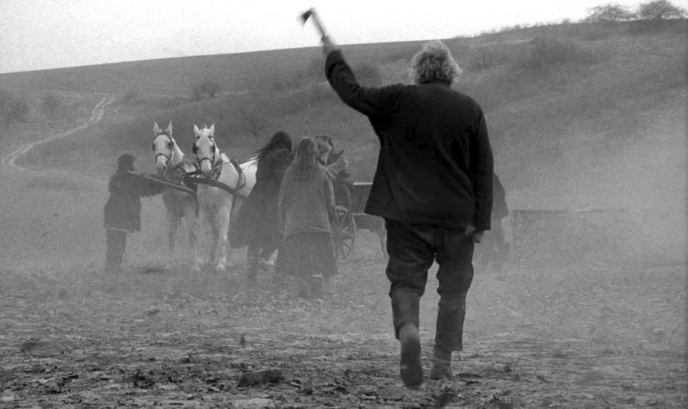 The Turin Horse (2011) The Turin Horse (2011)