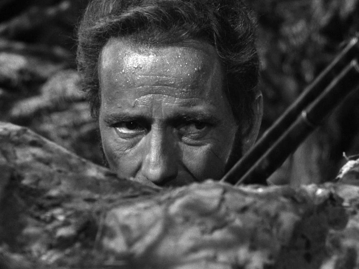 The Treasure of the Sierra Madre (1948) The Treasure of the Sierra Madre (1948)