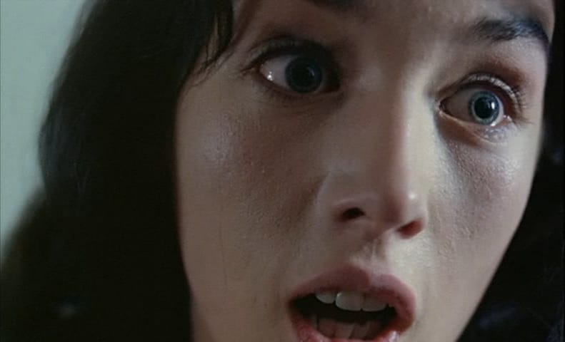 Possession (1981)