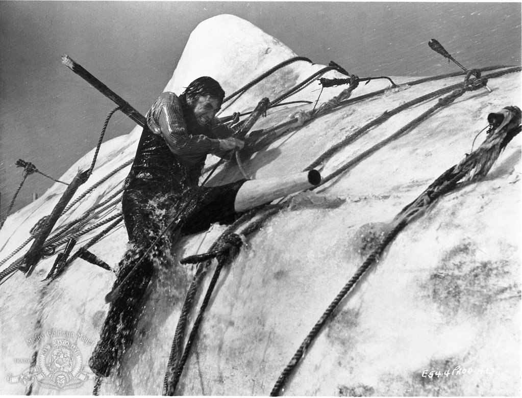 Moby Dick Moby Dick