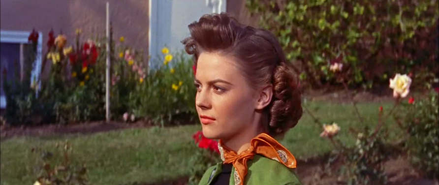 Rebel Without a Cause