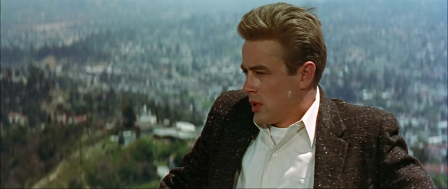 Rebel Without a Cause