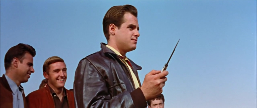 Rebel Without a Cause