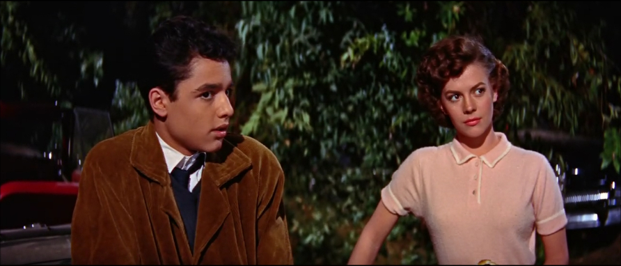 Rebel Without a Cause