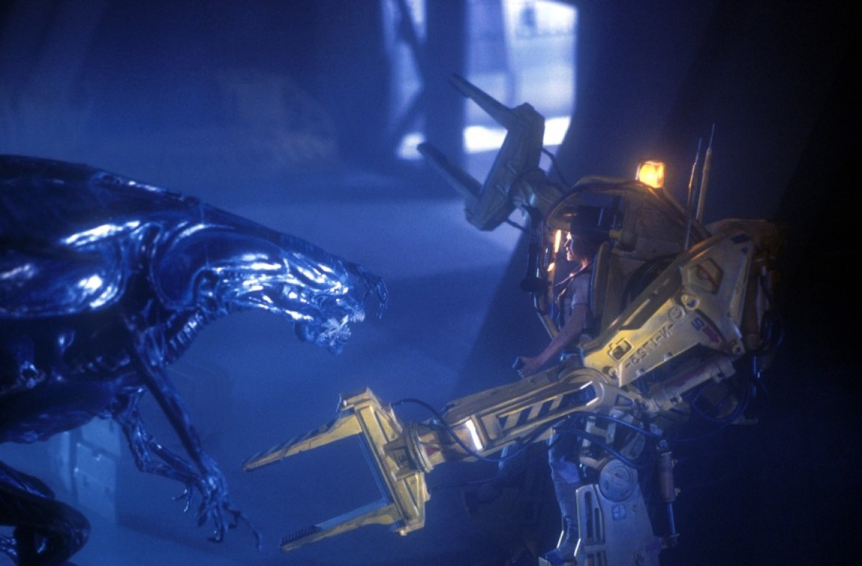 Aliens Aliens