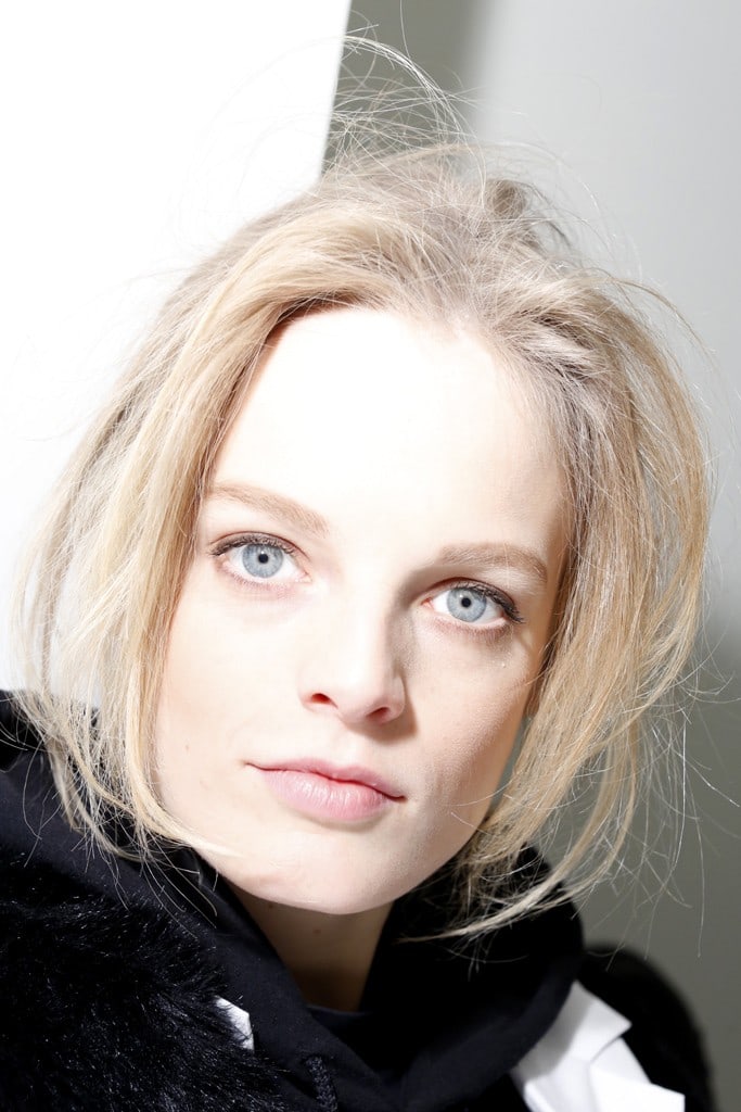 Picture of Hanne Gaby Odiele