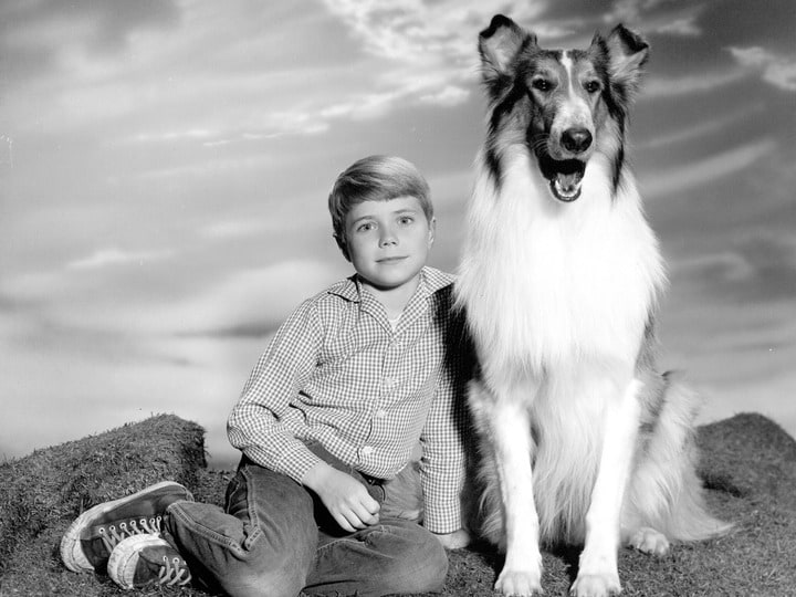 Jon Provost And Lassie 